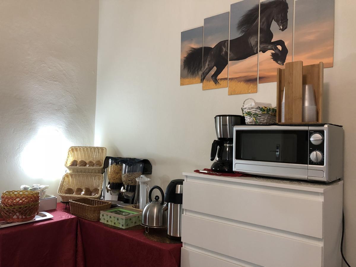 Aliante Turist House Pisa Bagian luar foto